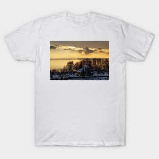 Lake Constance Winter Landscape near Hagnau T-Shirt